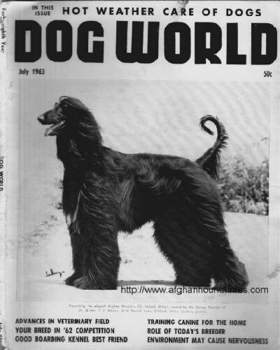 Dog World Afghan Hound Cover 1970