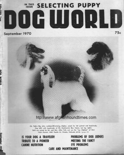 Dog World Afghan Hound Cover 1970