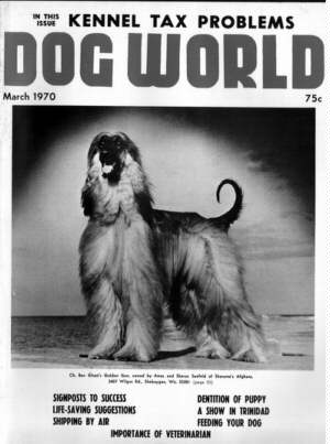 Dog World Afghan Hound Cover 1973