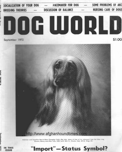 Dog World Afghan Hound Cover 1972
