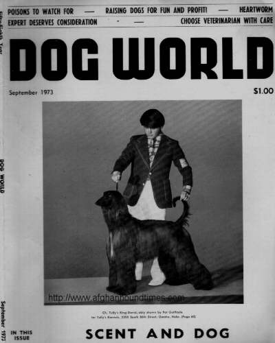Dog World Afghan Hound Cover 1973