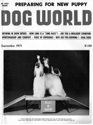 Dog World Afghan Hound Cover 1974
