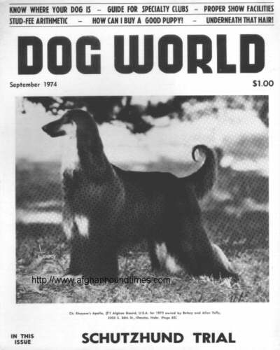 Dog World Afghan Hound Cover 1974