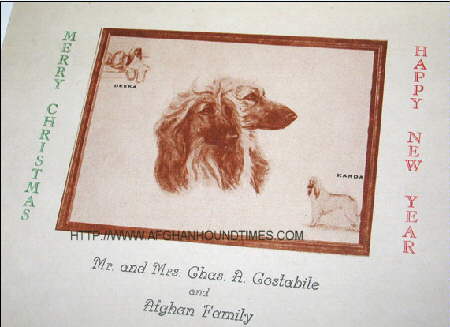 Afghan Hound - AKC judge Leon J. Iriberry Greetings Cards