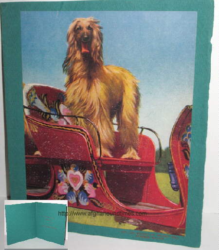 Afghan Hound - AKC judge Leon J. Iriberry Greetings Cards