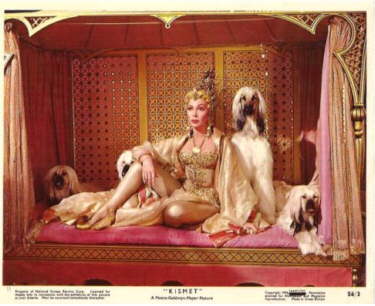 Afghan Hound Times photo - Dolores Grey With 2 Afghan Hounds,  KISMET 1956