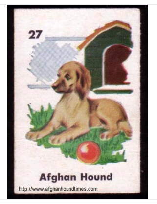  Afghan Hound Ephemera - Lady with hounds playing card