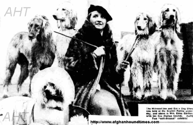 http://www.afghanhoundtimes.com PHOTO Edna Carlton and Hounds, Crystal Palace 1933