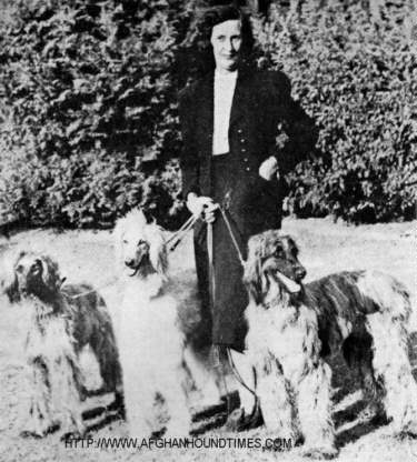 http://www.afghanhoundtimes.com Elcoza Afghan Hounds Photo Yusseff Rani and Sardar