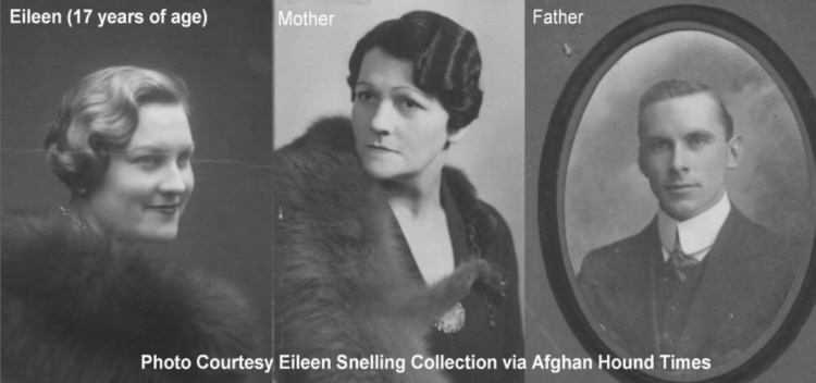 http://www.afghanhoundtimes.com Eileen Snelling House Ealing London