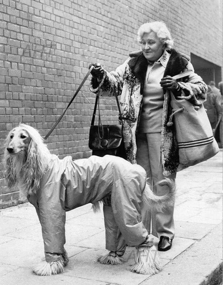 Eileen Snelling with Khorrassan Socrates PHOTO Crufts 1975