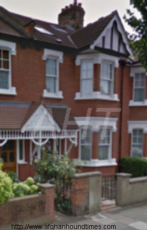 http://www.afghanhoundtimes.com Eileen Snelling House Ealing London