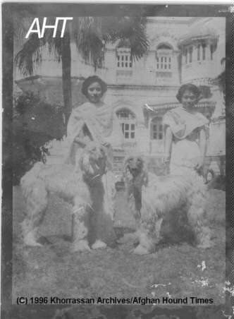 Afghan Hound Times = Maharaja of Baria kennel maids and houds