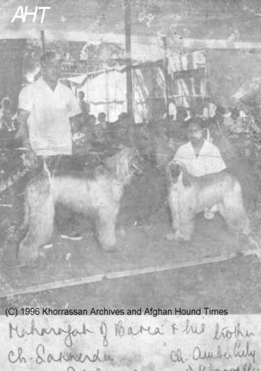 Afghan Hound Times - H H The Maharajah of Baria and Khorrassan Afghan Hounds