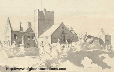 Afghan Hound Times Rathmullan Castle/Kandahar Afghan Hounds