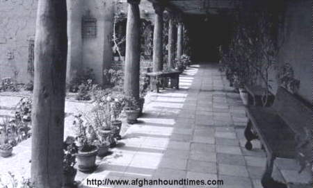Afghan Hound Times - Kandahar Kennels, Another view of the property