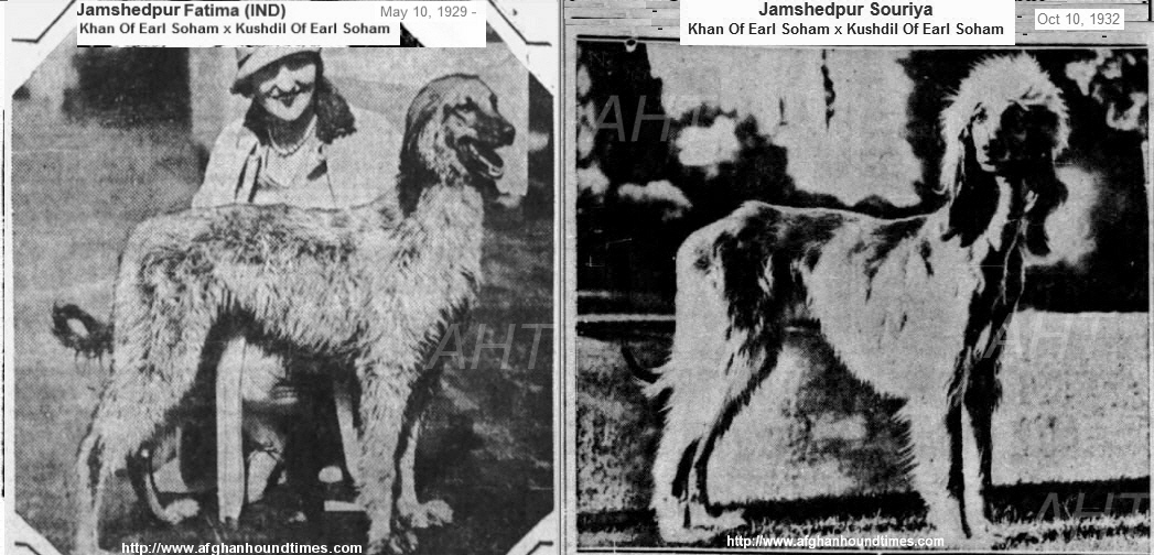 http://www.afghanhoundtimes PHOTO Caroline Richmond Halls Jeshumpur Fatima and Jemshupur Souriya