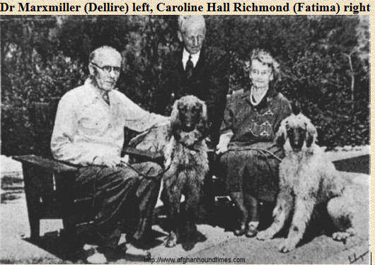 http://www.afghanhoundtimes.com PHOTO Dr Harry Marxmiller and Caroline Hall Richmond