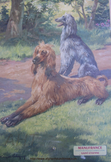 http://www.afghanhoundtimes.com PHOTO Afghan hound France 1934