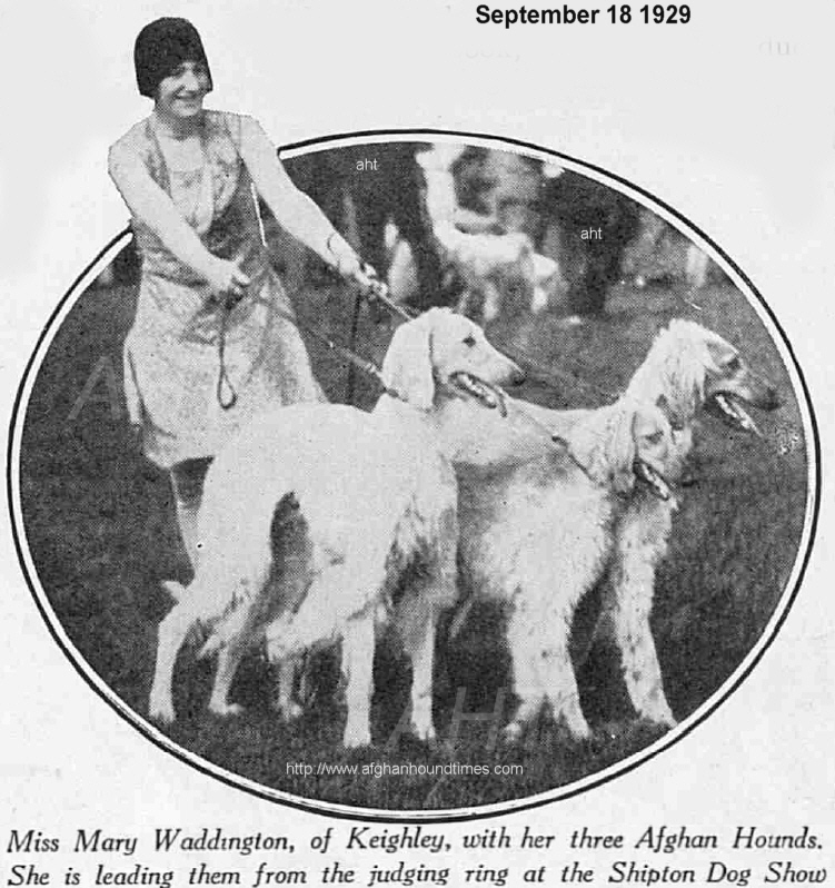 htp://www.afghanhoundtimes.com PHOTO Mary Waddington with her Frizley lineage dogs, Craven Dog Show, 1929