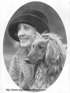http://www.afghanhoundtimes.com The Ghazni Afghan Hounds of Maj. Mrs Amps