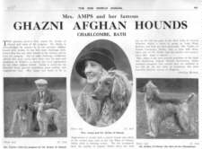 Afghan Hound Times Ghazni Afghan Hound by Phyllis Robson 1930