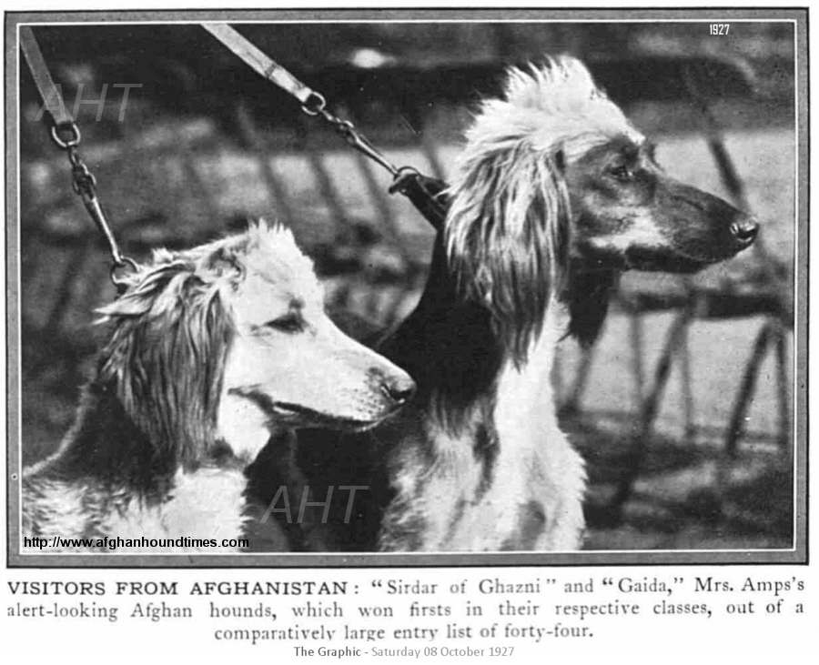 http://www.afghanhoundtimes.com PHOTO GAIDA (OF GHAZNI) 1927