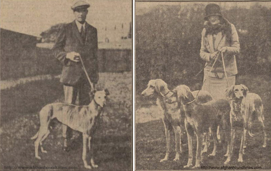 http://www.afghanhoundtimes.com PHOTO Mr, Mrs  T S Couer (Garryhmoe) 1929