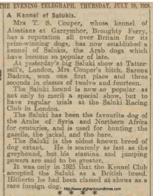http://www.afghanhoundtimes.com Garrymhor Saluki's