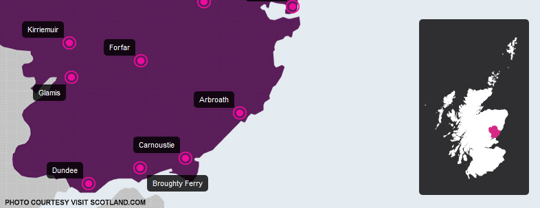 htp://www.afghanhoundtimes.com PHOTO Broughty Ferry - Garrymhor Afghan Hounds