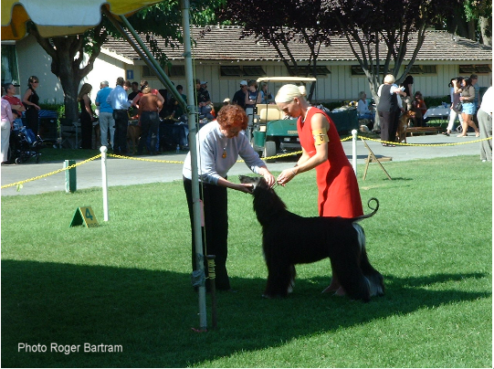 Daphne Gie Judging In California 1994