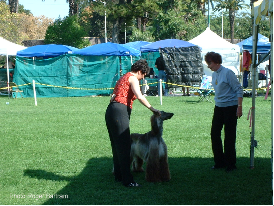 Daphne Gie Judging In California 1994