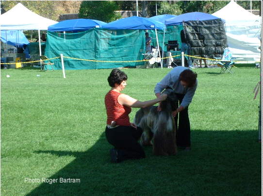Daphne Gie Judging In California 1994