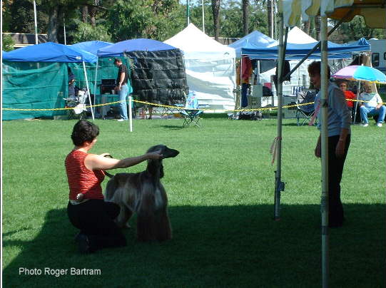 Daphne Gie Judging In California 1994