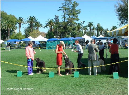 Daphne Gie Judging In California 1994