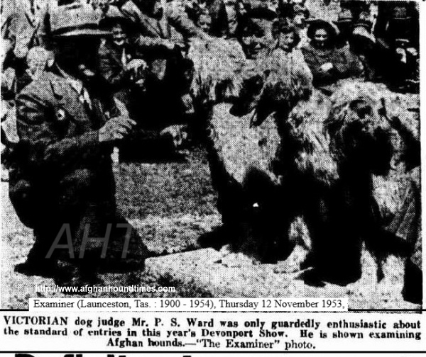 http://ww.afghanhoundtimes.com PHOTO Mr Ward (Golitha) judging Afghan hounds 1954