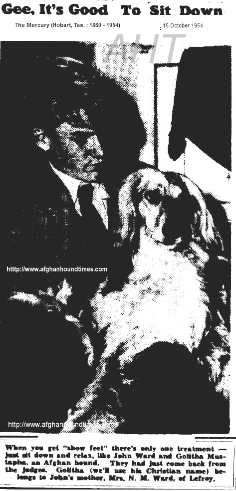 http://www.afghanhoundtimes.com PHOTO John Ward (Golitha) exhibiting an Afghan hound 1954