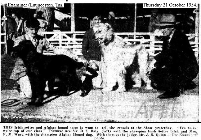 http://www.afghanhoundtimes.com PHOTO Mrs Ward (Golitha) exhibiting her Champion Afghan hound 1954