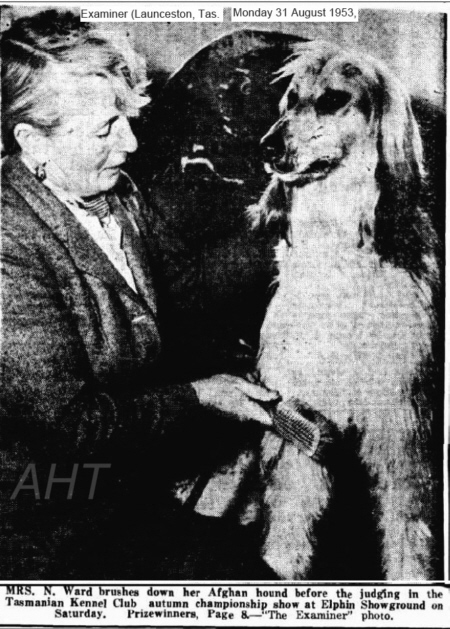 http://www.afghanhoundtimes.com PHOTO V