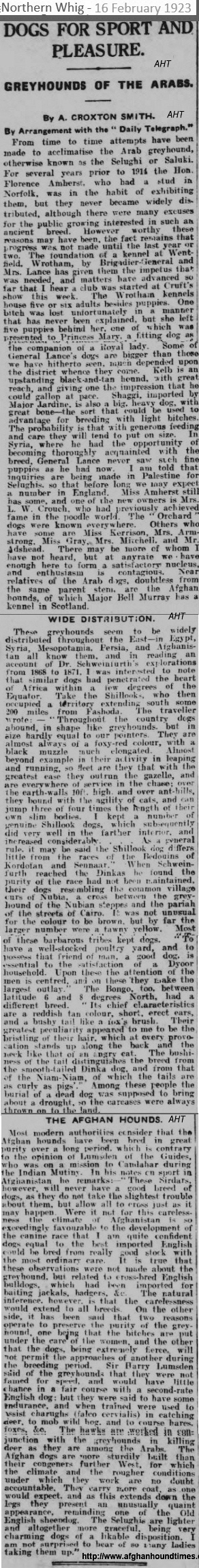 http://www.afghanhoundtimes.com Article - Greyhounds Of The Arabs by Croxton Smith 1923