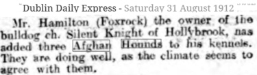 http://www.afghanhoundtimes.com Zardin litter summer 1912