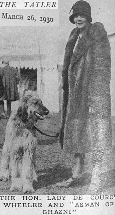 http://www.afghanhoundtimes.com Ireland breed history. Lady de Courcey Wheeler  and  Ir Ch Asman Of Ghazni 1930