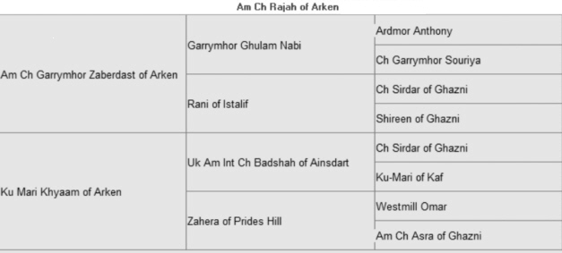 http://www.afghanhoundtimes.com pedigree Rajah  Of Arken