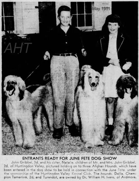 http://www.afghanhoundtimes.com PHOTO Bill Ivens of Ivardon