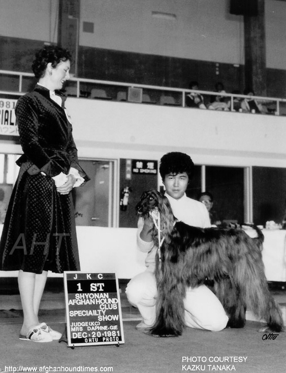 PHOTO Daphnie Gie judging Afghan hounds Japan 1981