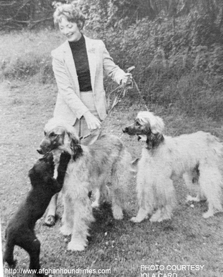 PHOTO Daphnie Gie Photo 1982