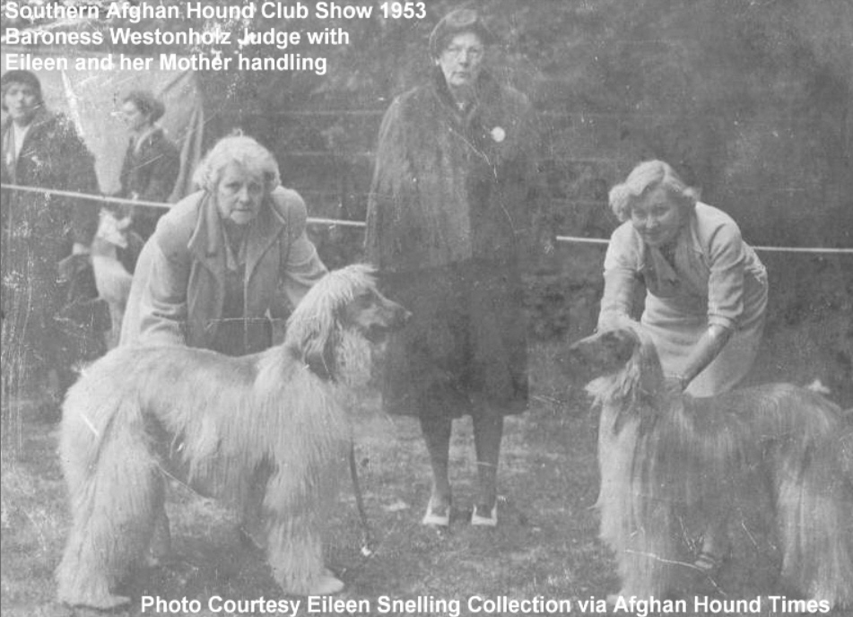 http://www.afghanhoundtimes.com Eileen Snelling and mother at a dog show