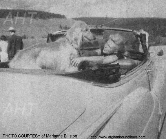 http://www.afghanhoundtimes.com PHOTO-El Mio
Bambi of Chamee 1946