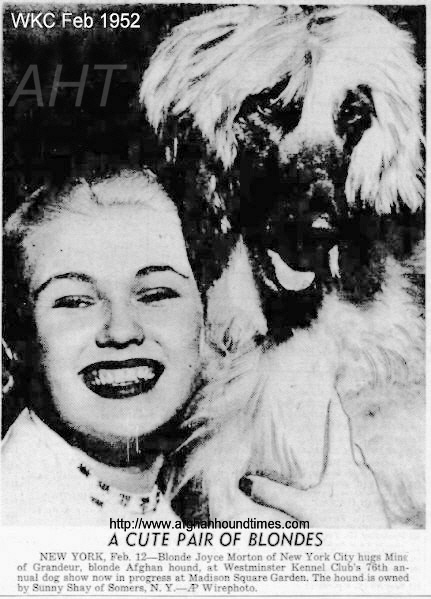 http://www.afghanhoundtimes.com PHOTO Joyce Morton with Minx Of Grandeur WKC 1952