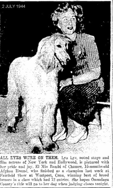 http://www.afghanhoundtimes.com PHOTO-El Mio
Shelah of Chamee 1946